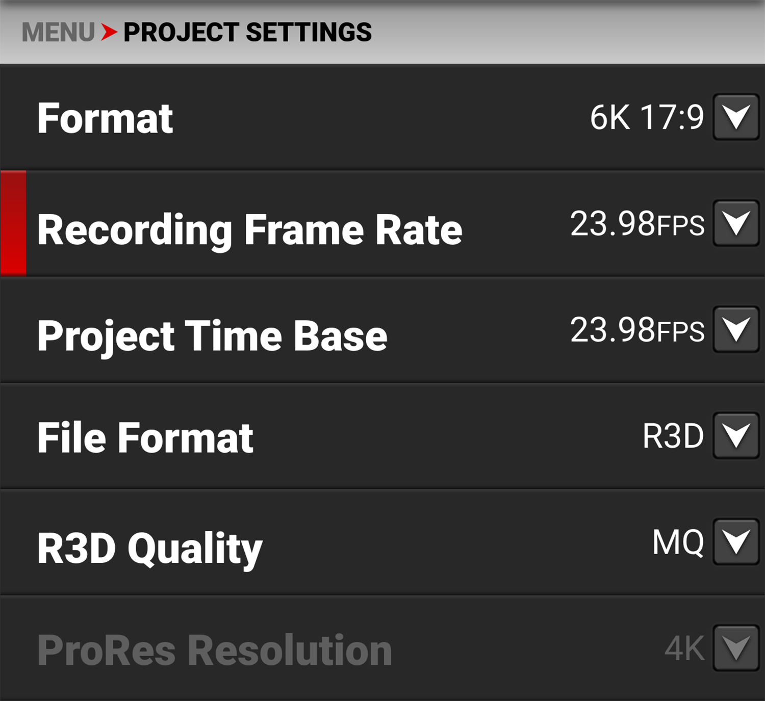 Recording Frame Rate